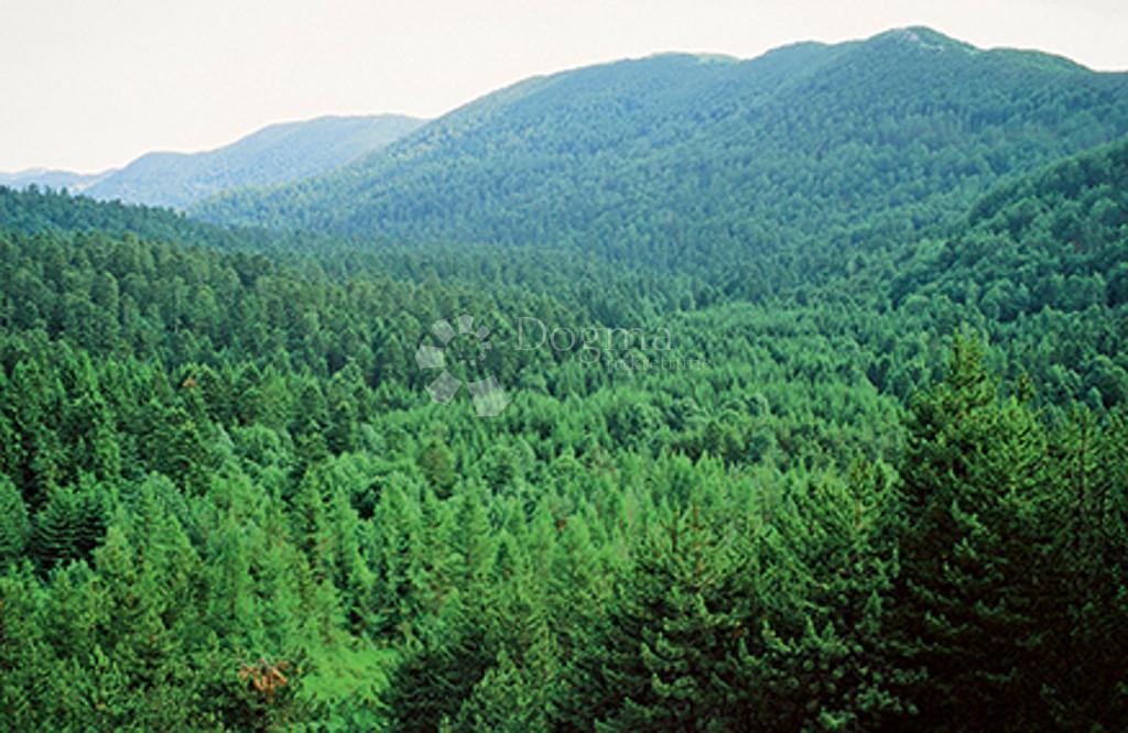 Hiša Gorani, Skrad, 116m2