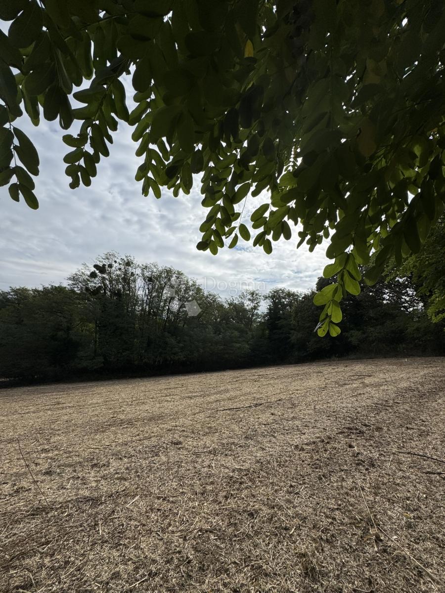 Zazidljivo zemljišče Maglenča, Veliko Trojstvo, 1.065m2