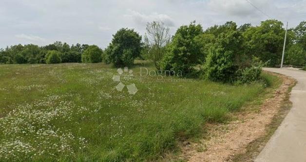 Zazidljivo zemljišče Domijanići, Žminj, 1.340m2