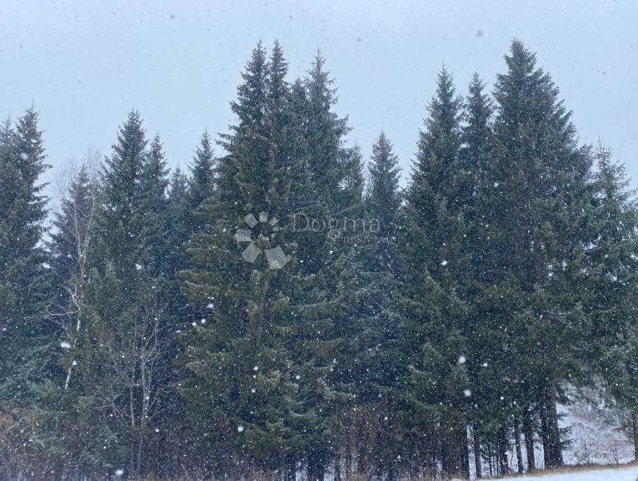 Zazidljivo zemljišče Ravna Gora, 4.991m2