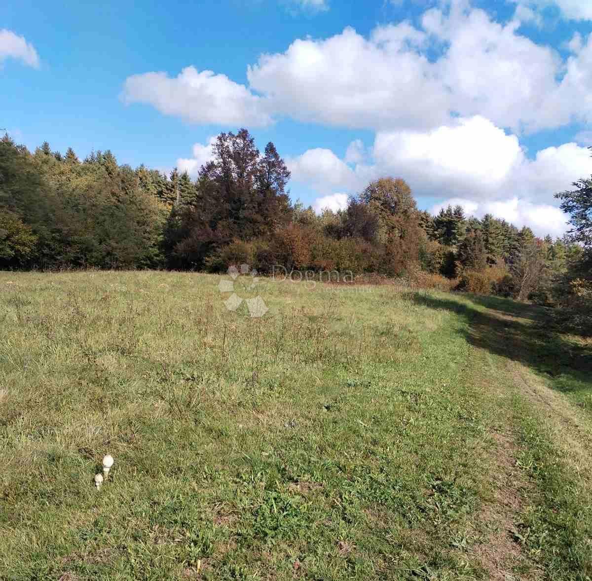 Zazidljivo zemljišče Ogulin, 4.476m2