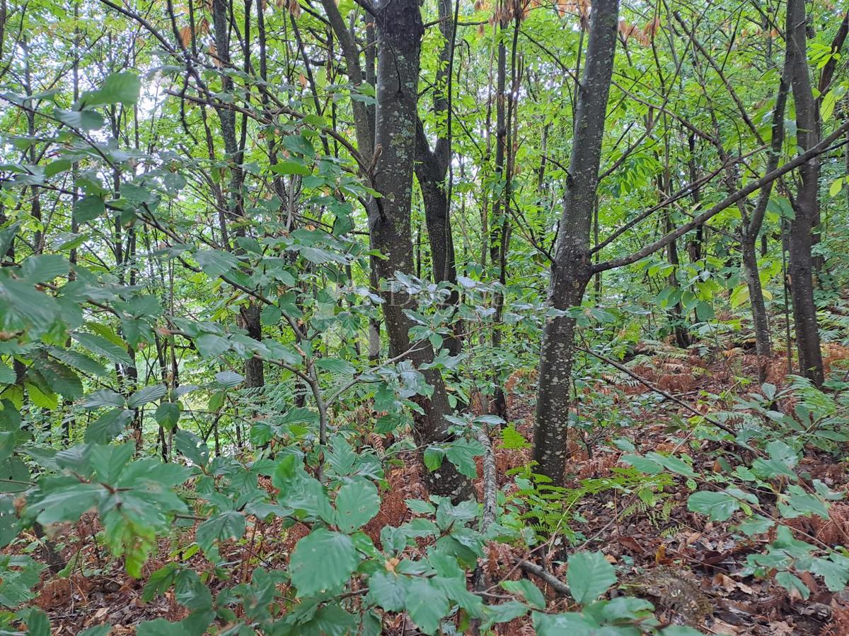 Kmetijsko zemljišče Ostrožin, Gvozd, 45.507m2