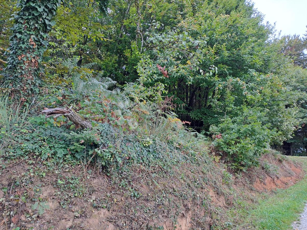 Kmetijsko zemljišče Ostrožin, Gvozd, 45.507m2