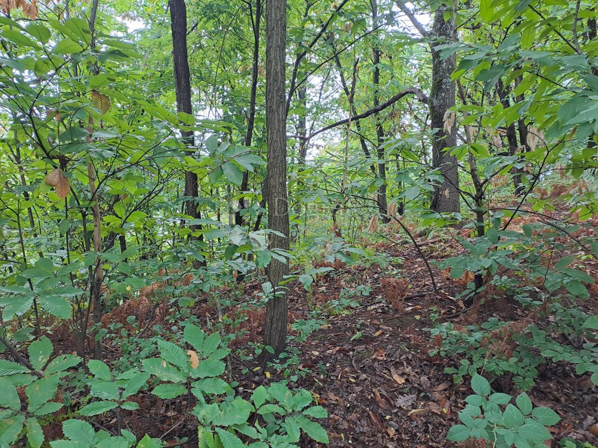 Kmetijsko zemljišče Ostrožin, Gvozd, 45.507m2