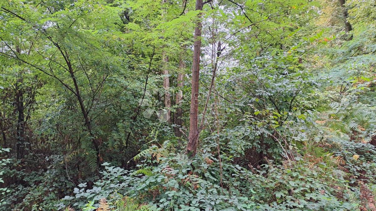 Kmetijsko zemljišče Ostrožin, Gvozd, 45.507m2