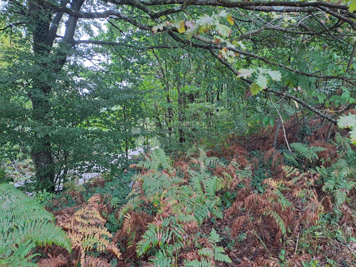 Kmetijsko zemljišče Ostrožin, Gvozd, 45.507m2