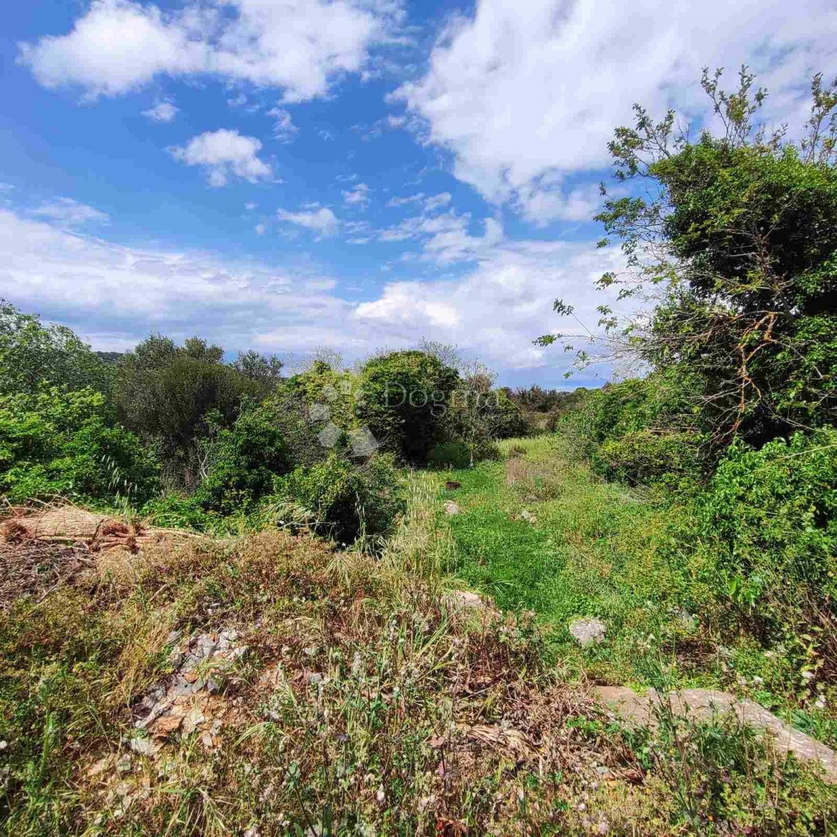 Stavbno zemljišče Božava 571 m2 - 150 m od morja