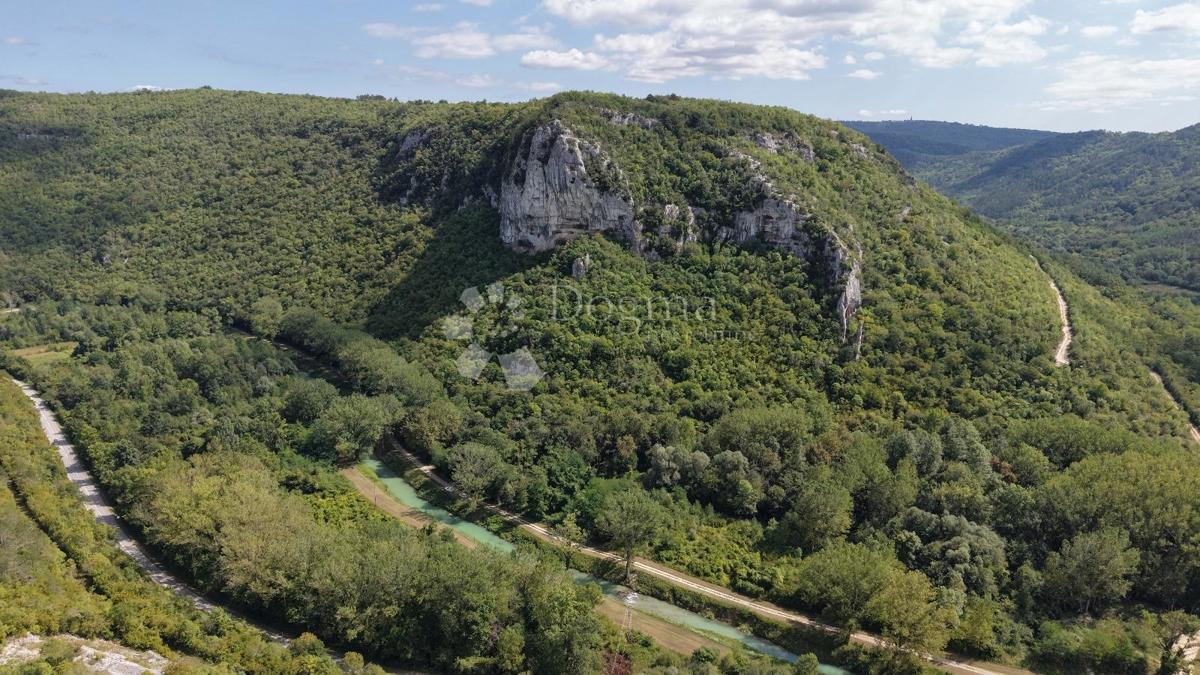 Kmetijsko zemljišče Sovinjak, Buzet, 1.002m2