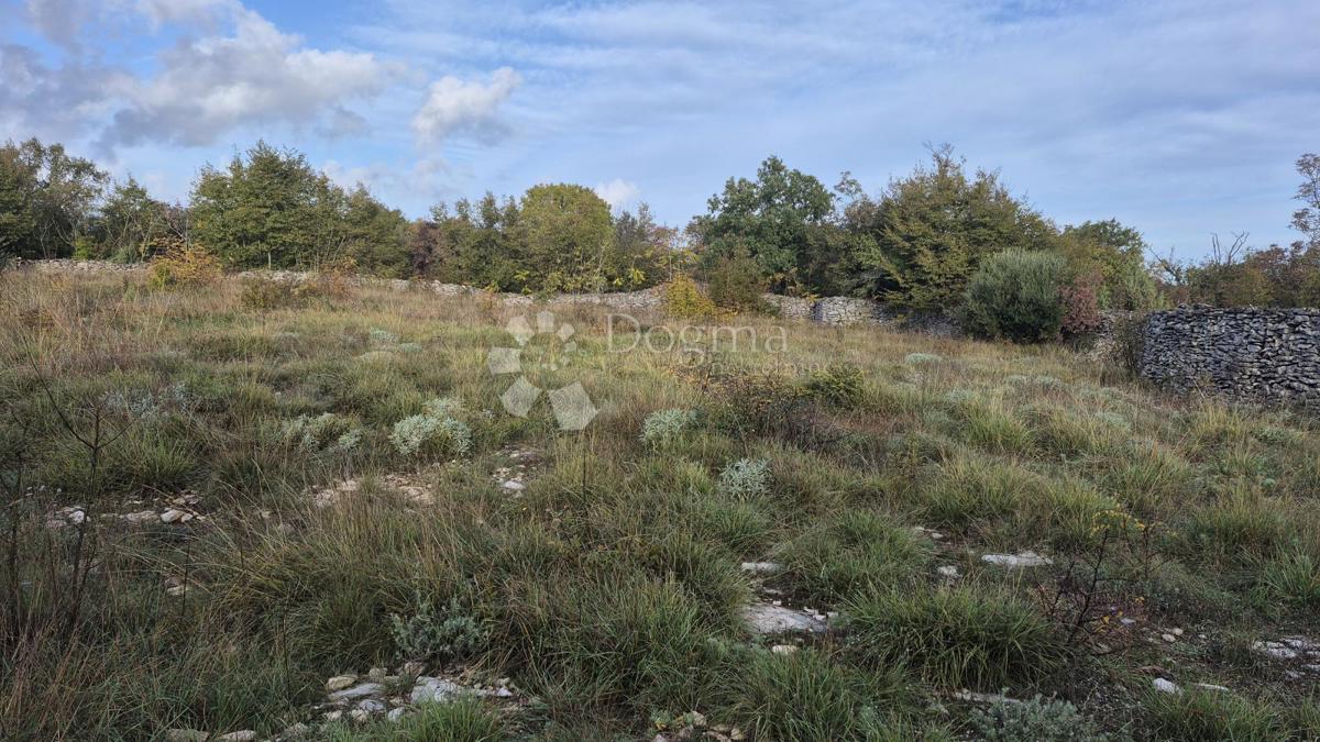 Pašnik, ograjen s suhozidom, površina 1705 m2