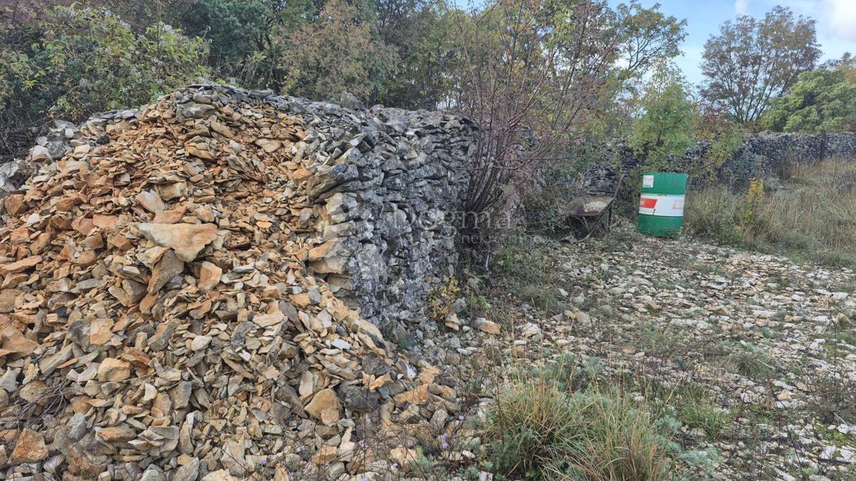 Pašnik, ograjen s suhozidom, površina 1705 m2