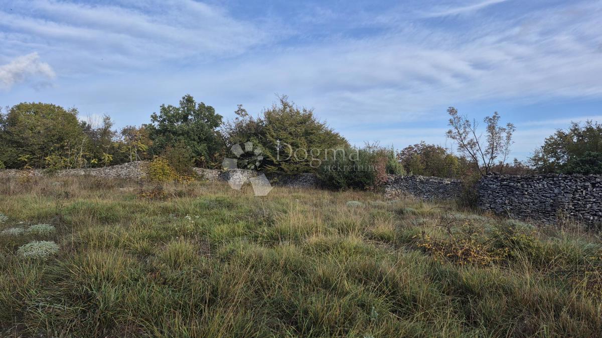 Pašnik, ograjen s suhozidom, površina 1705 m2