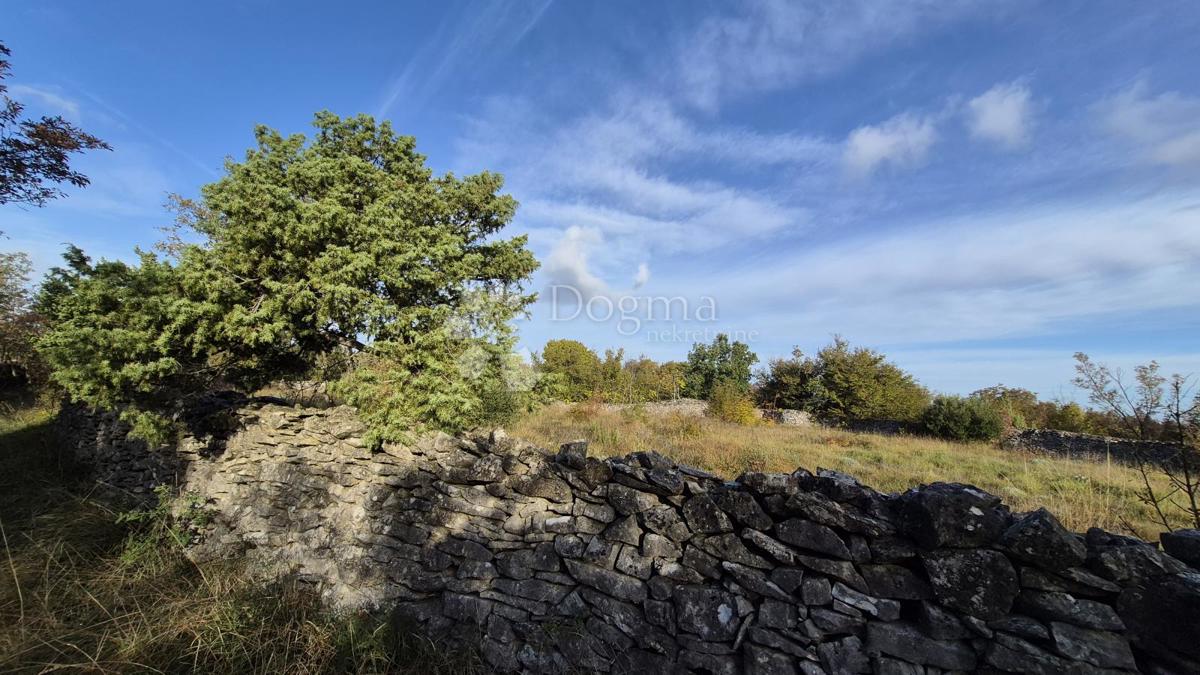 Pašnik, ograjen s suhozidom, površina 1705 m2