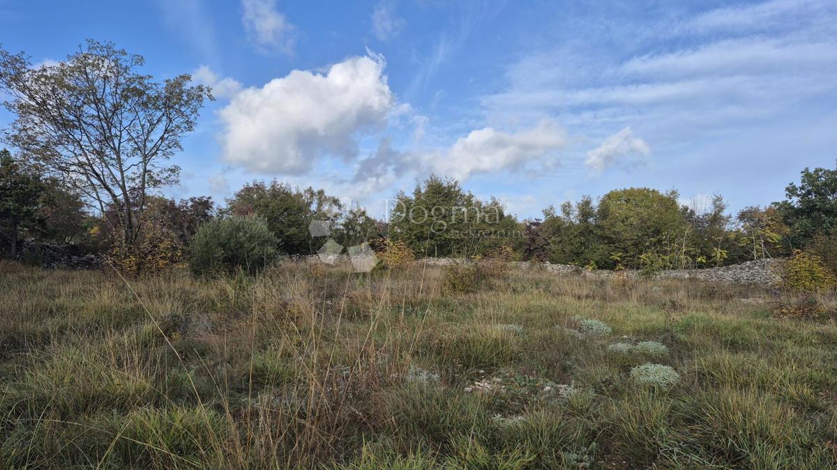 Pašnik, ograjen s suhozidom, površina 1705 m2