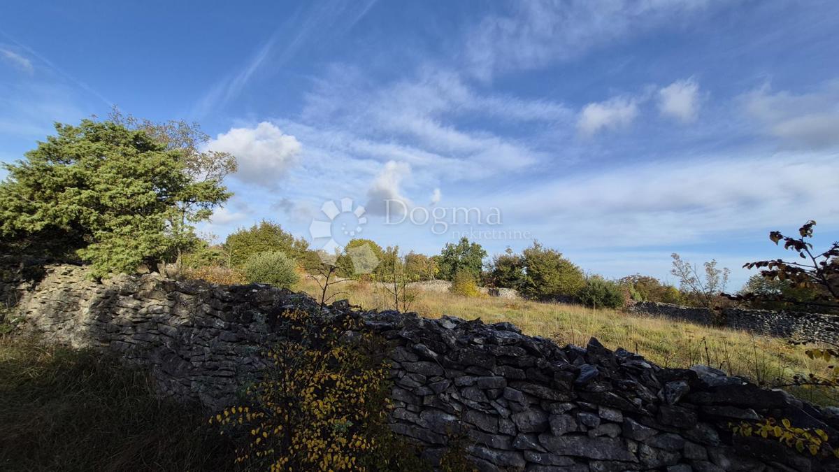 Pašnik, ograjen s suhozidom, površina 1705 m2