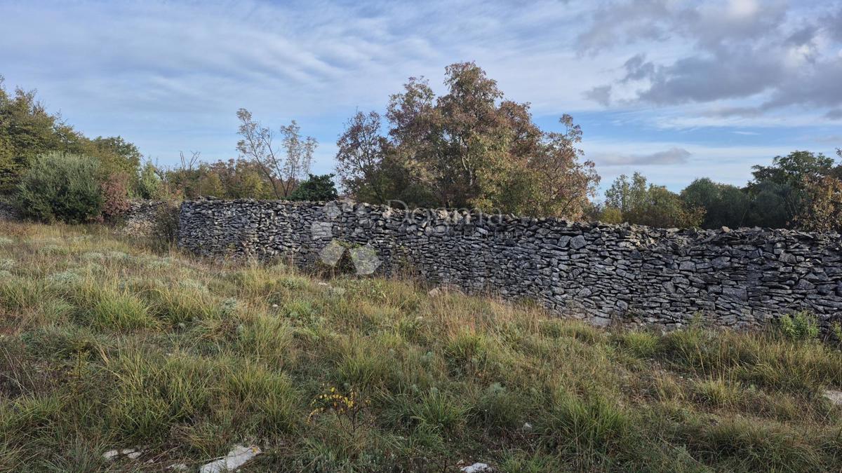 Pašnik, ograjen s suhozidom, površina 1705 m2