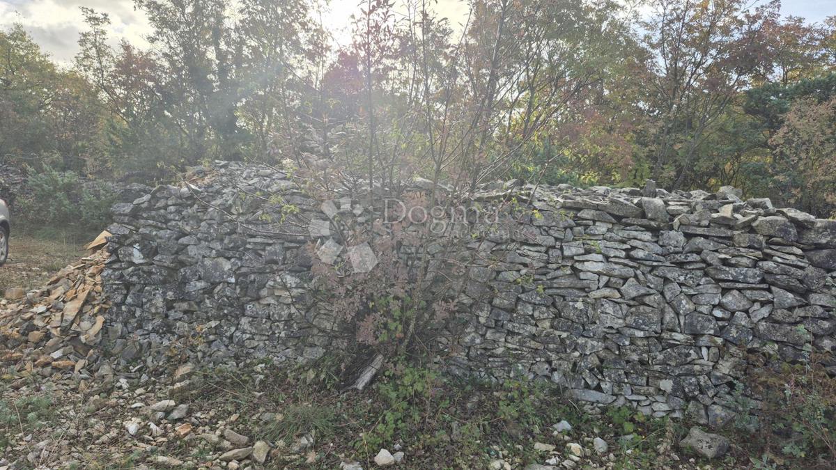 Pašnik, ograjen s suhozidom, površina 1705 m2