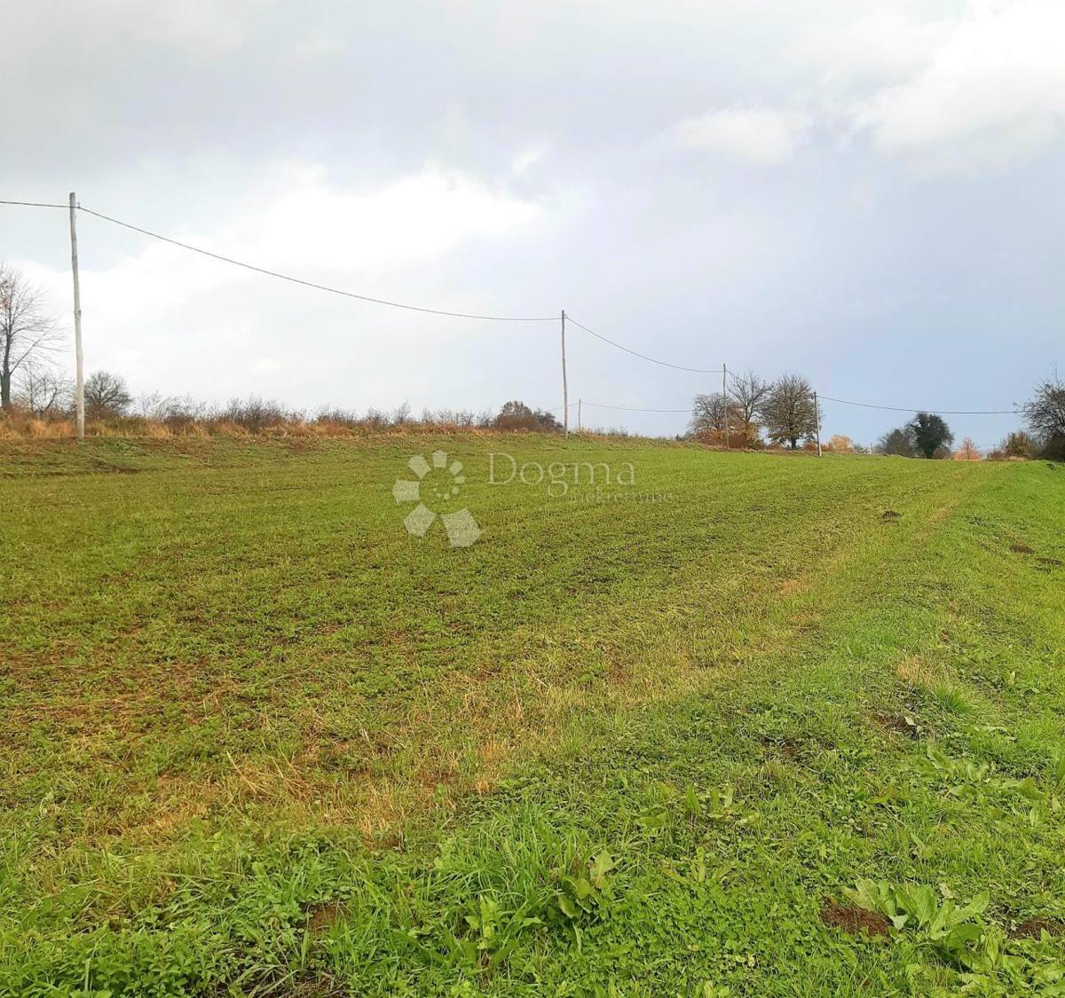 Zazidljivo zemljišče Ogulin, 5.666m2