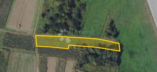 Kmetijsko zemljišče Kućan Marof, Varaždin - Okolica, 6.010m2