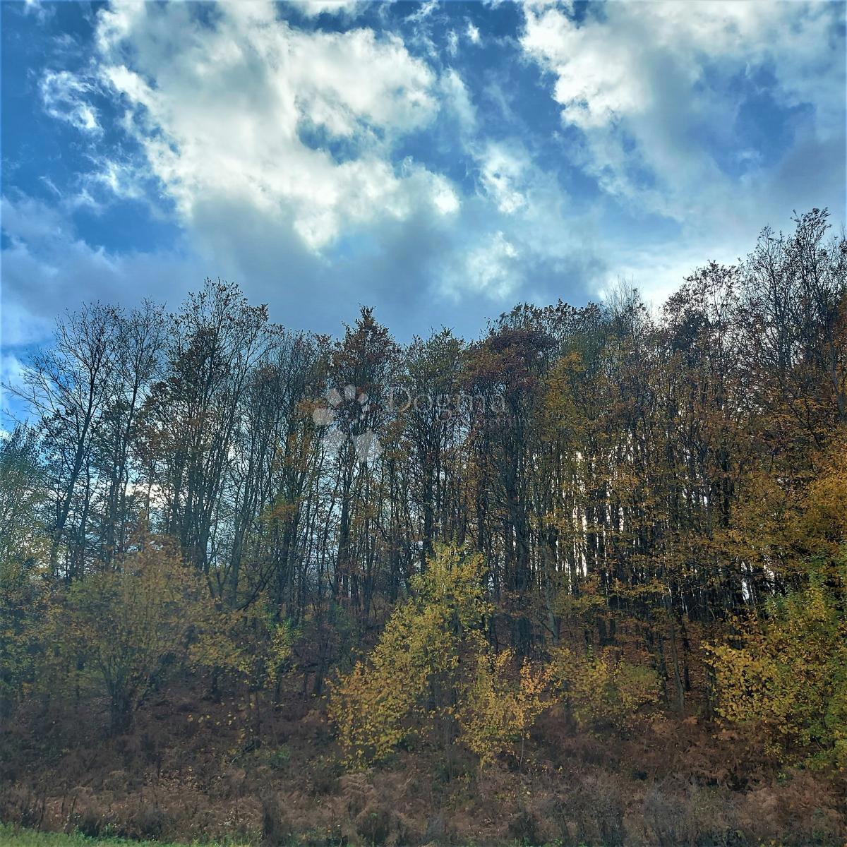 Kmetijsko zemljišče Kestenovac, Donji Lapac, 5.090m2