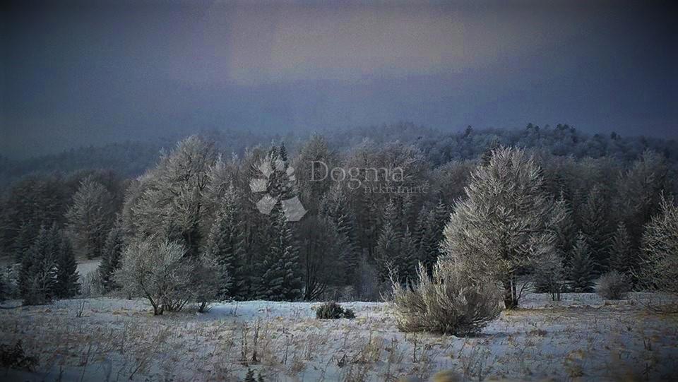 Kmetijsko zemljišče Kestenovac, Donji Lapac, 5.090m2