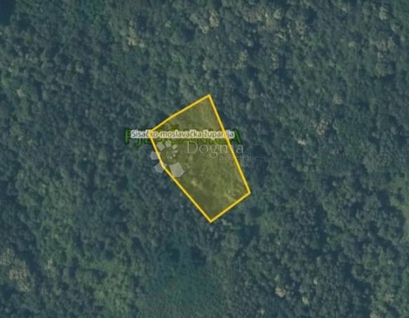 Kmetijsko zemljišče Pješčanica, Gvozd, 8.369m2