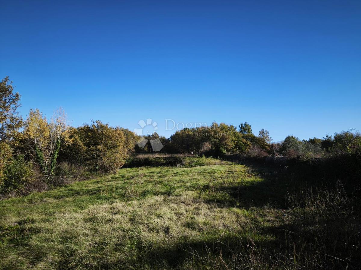 Stavbno in kmetijsko zemljišče 4.793 m² – Kringa, Tinjan