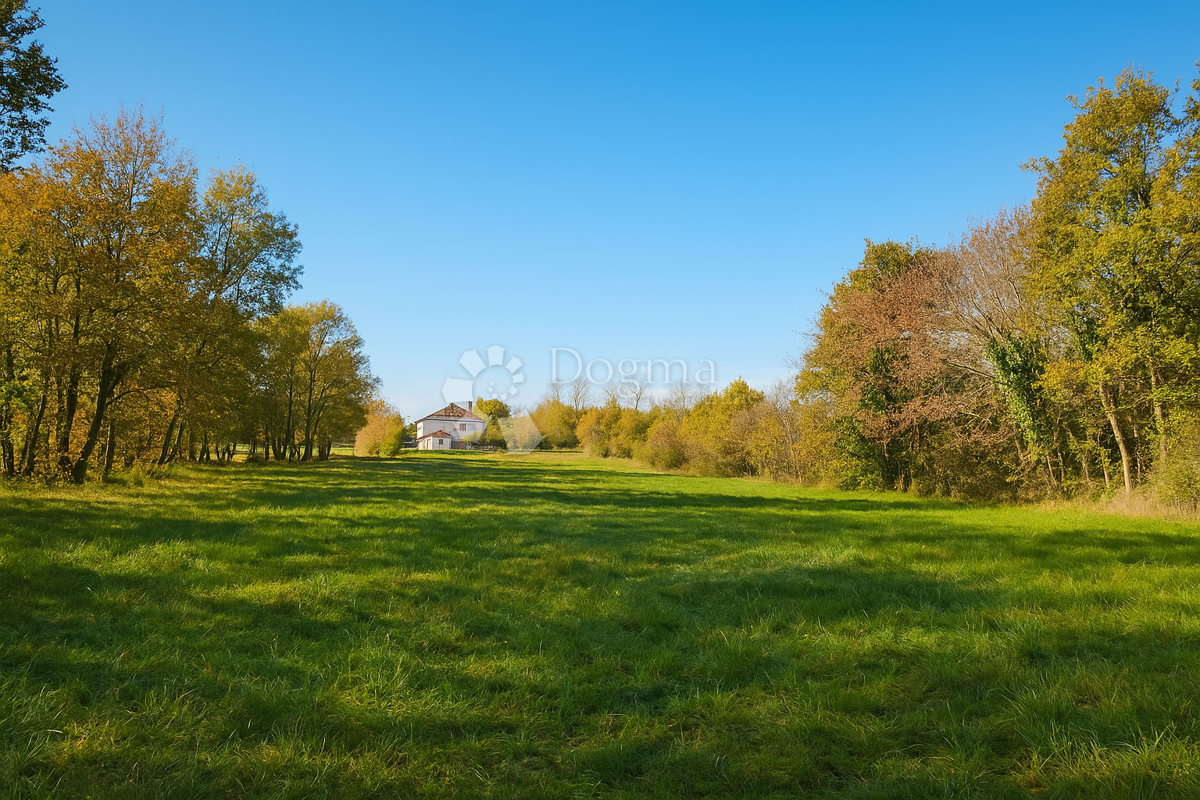 Stavbno in kmetijsko zemljišče 4.793 m² – Kringa, Tinjan