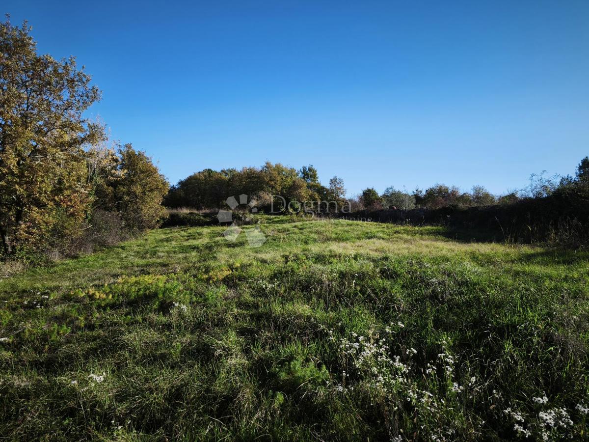 Stavbno in kmetijsko zemljišče 4.793 m² – Kringa, Tinjan