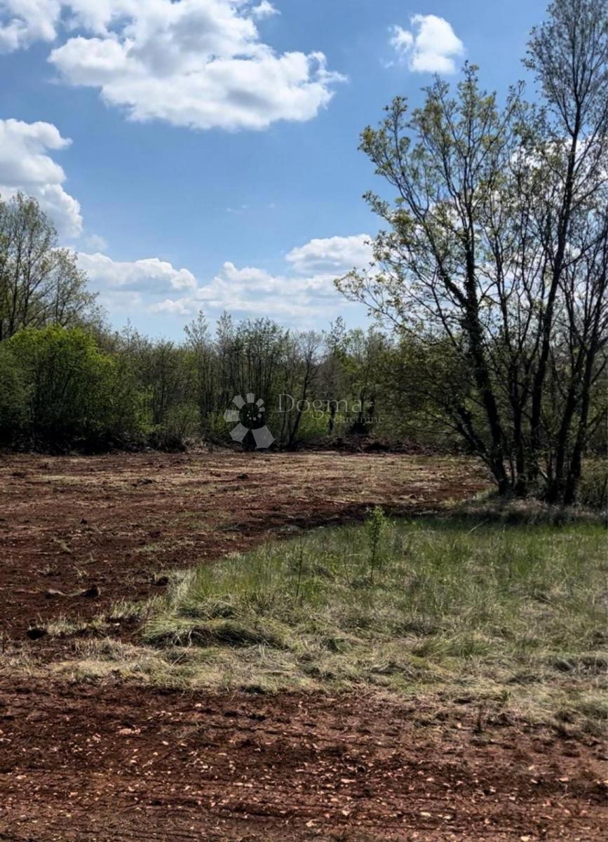 Tinjan - Odlična gradbena parcela, 855 m², pravilne oblike