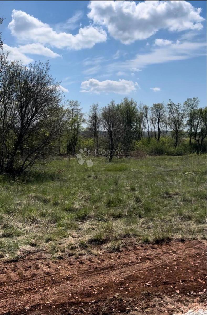 Tinjan - Odlična gradbena parcela, 855 m², pravilne oblike