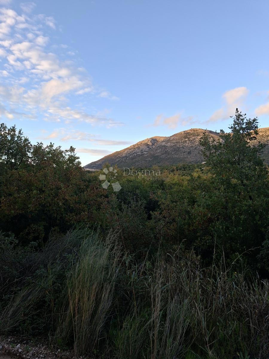 Kmetijsko zemljišče Močići, Konavle, 4.460m2