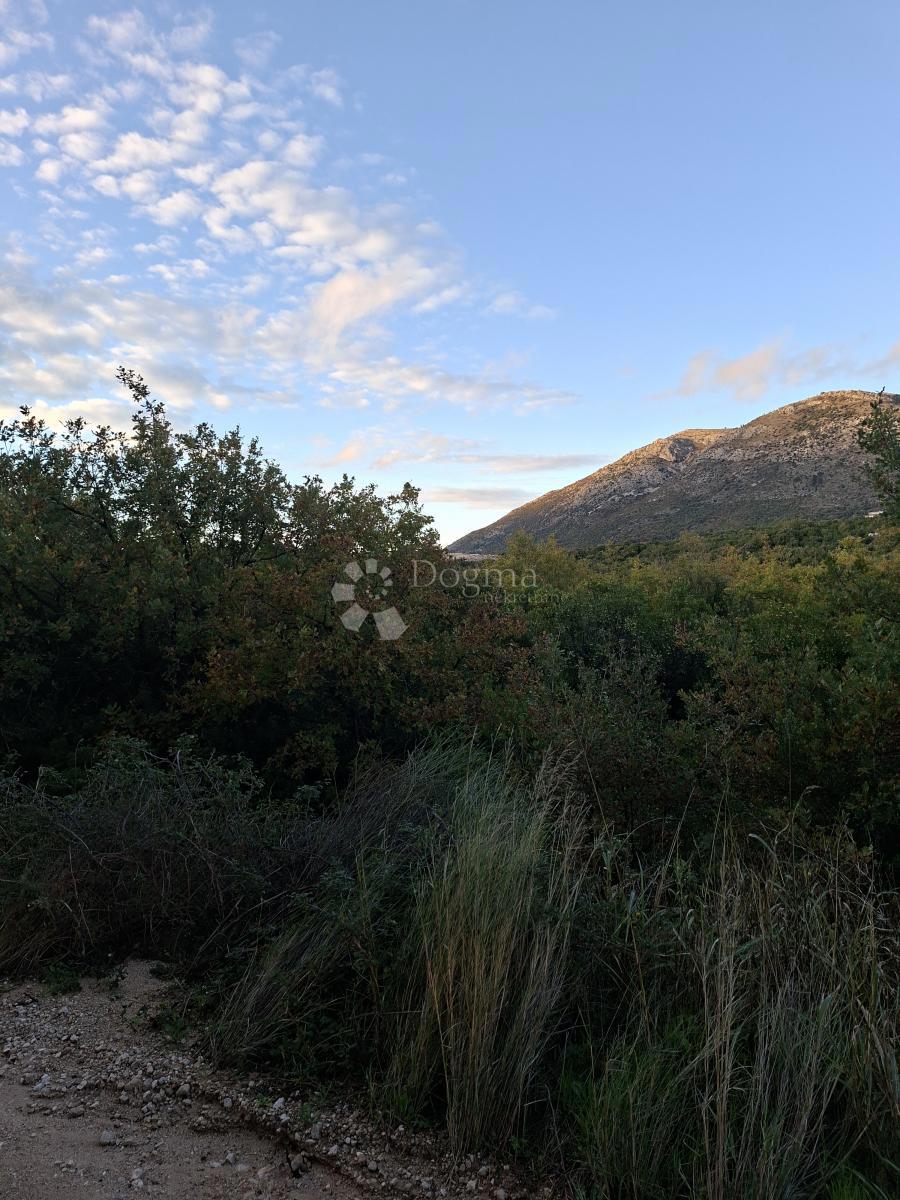 Kmetijsko zemljišče Močići, Konavle, 4.460m2