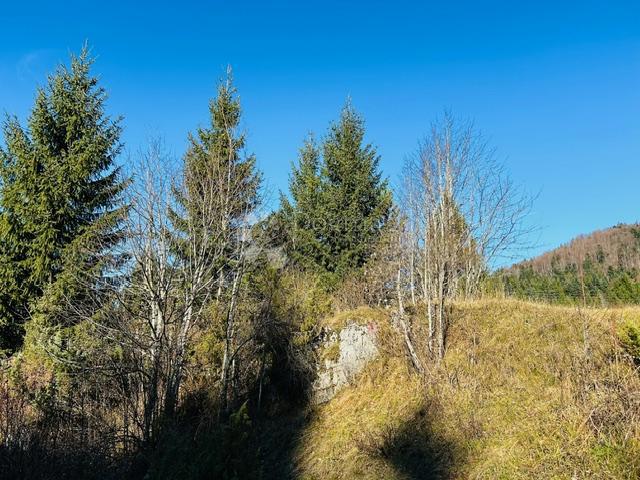 Zazidljivo zemljišče Stara Sušica, Ravna Gora, 1.100m2