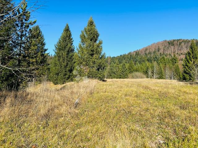 Zazidljivo zemljišče Stara Sušica, Ravna Gora, 1.100m2