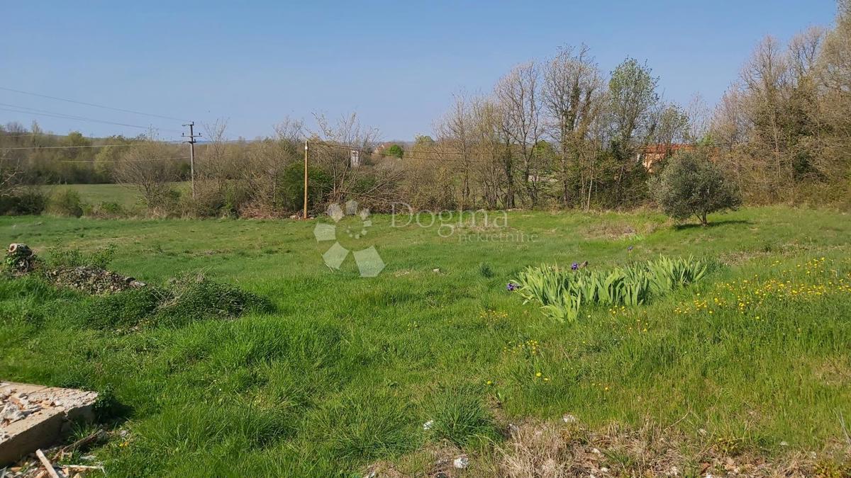 Hiša za obnovo in 5200 m² zazidljivega zemljišča