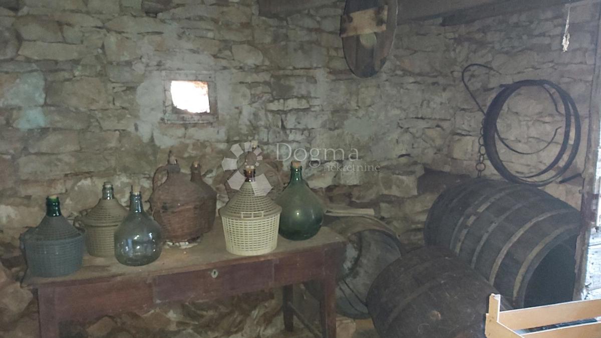 Hiša za obnovo in 5200 m² zazidljivega zemljišča