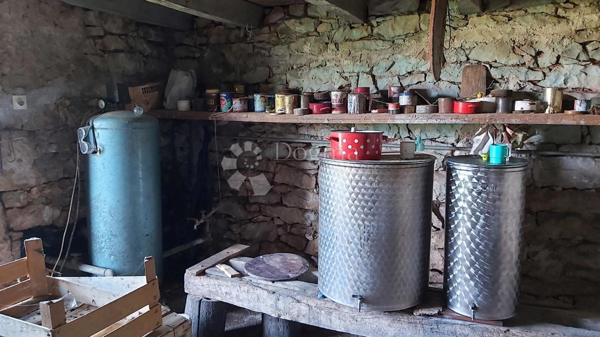 Hiša za obnovo in 5200 m² zazidljivega zemljišča