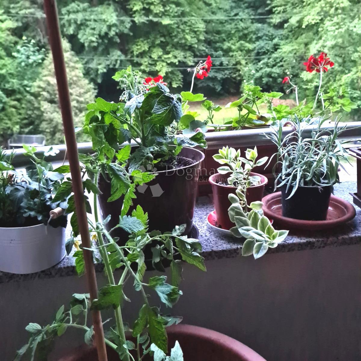 Stanovanje Šestinski dol, Črnomerec, 65,07m2