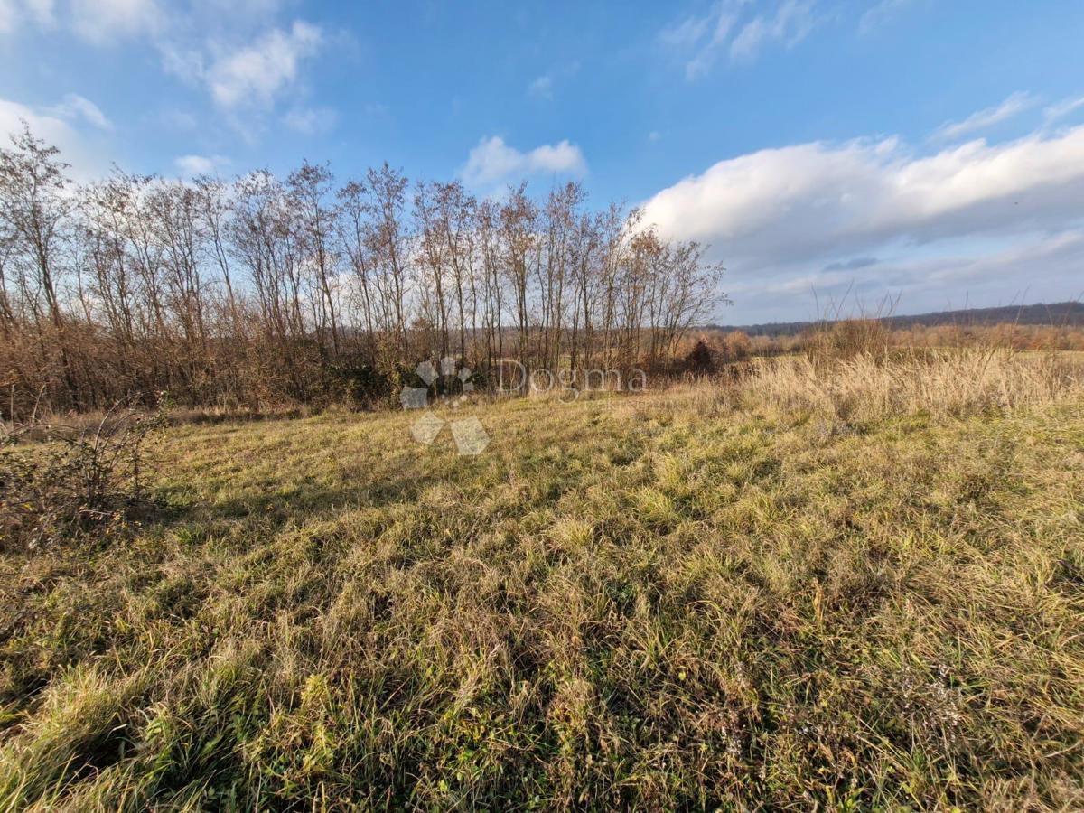 Zazidljivo zemljišče Žminj, 1.665m2