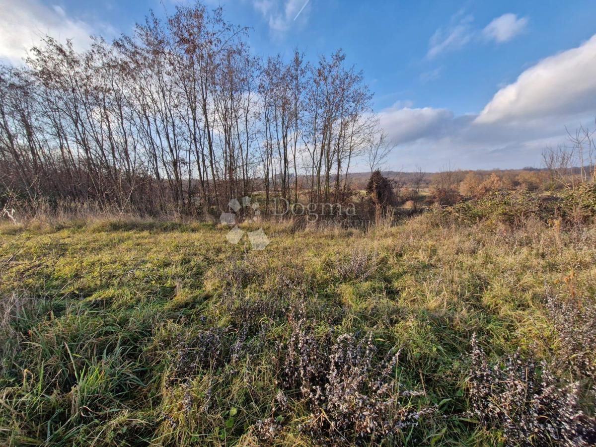 Zazidljivo zemljišče Žminj, 1.665m2