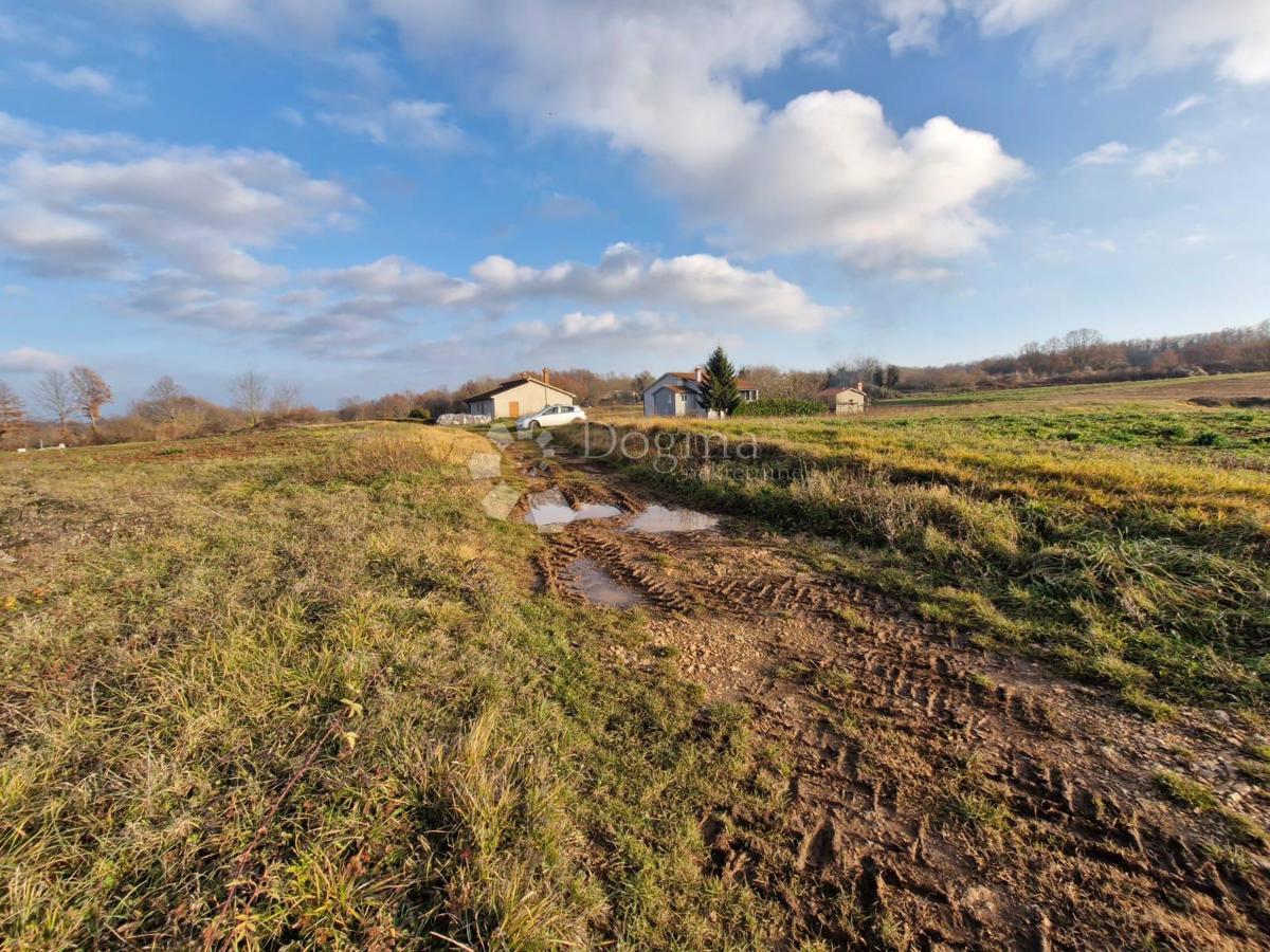 Zazidljivo zemljišče Žminj, 1.665m2