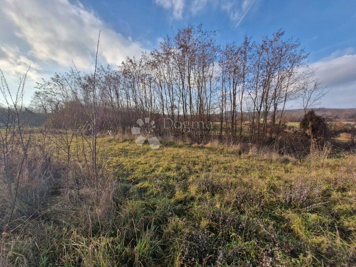 Zazidljivo zemljišče Žminj, 1.665m2