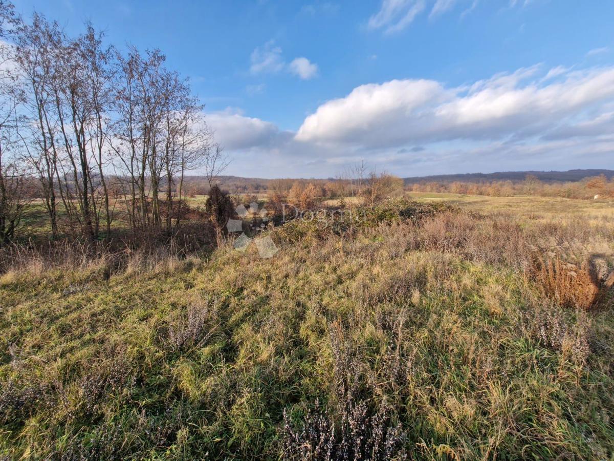 Zazidljivo zemljišče Žminj, 1.665m2