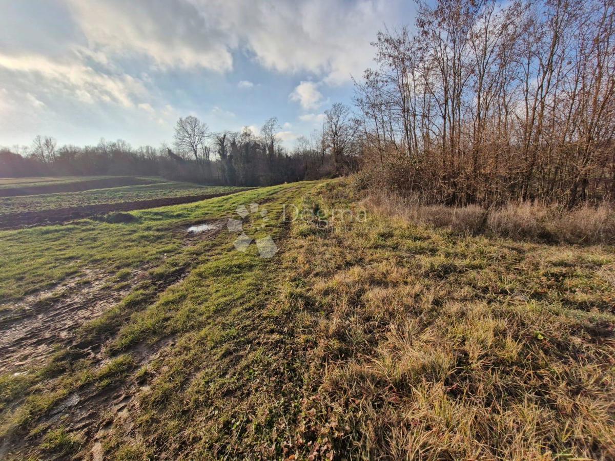 Zazidljivo zemljišče Žminj, 1.665m2