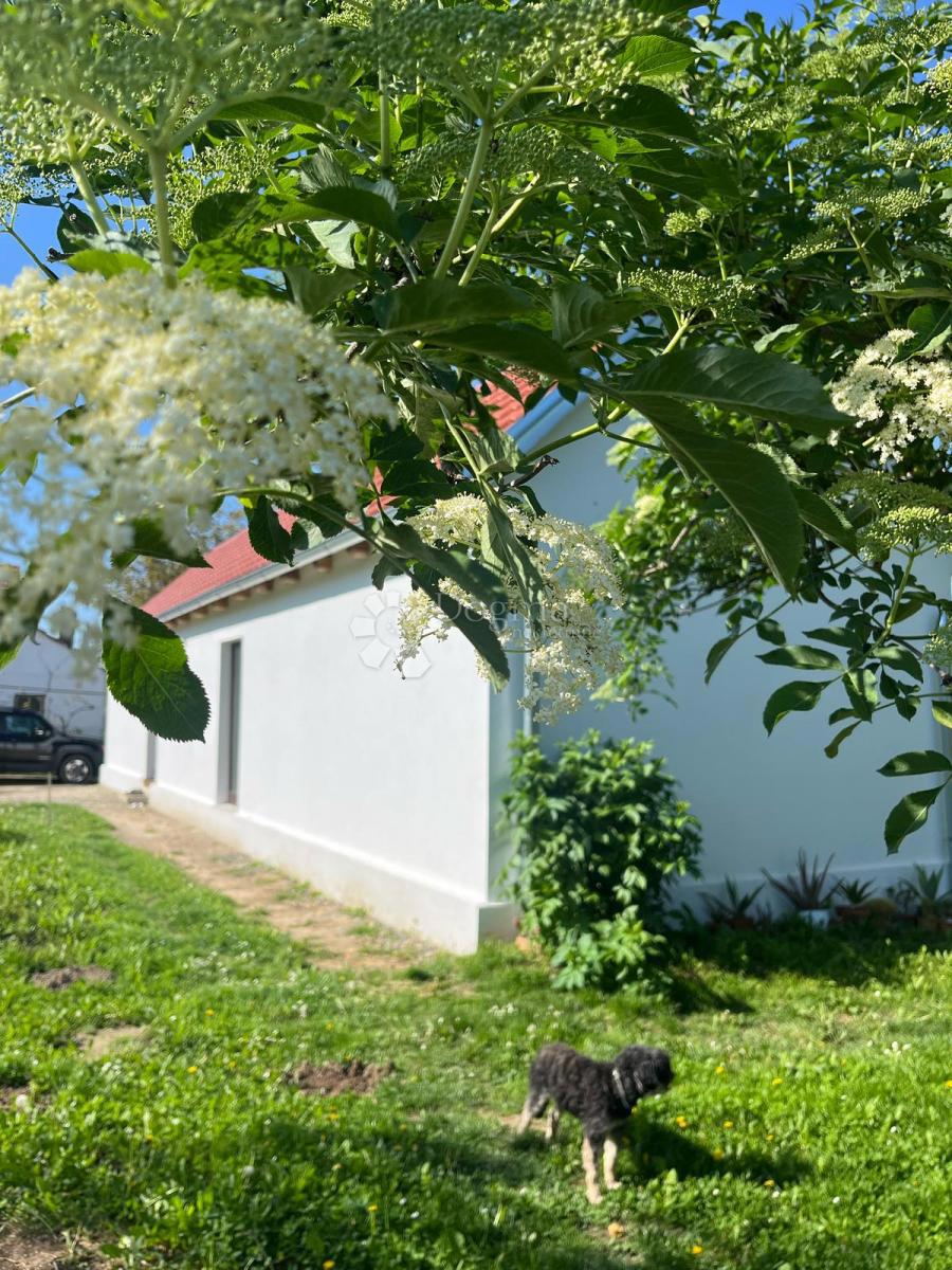 Hiša Londžica, Našice, 208m2