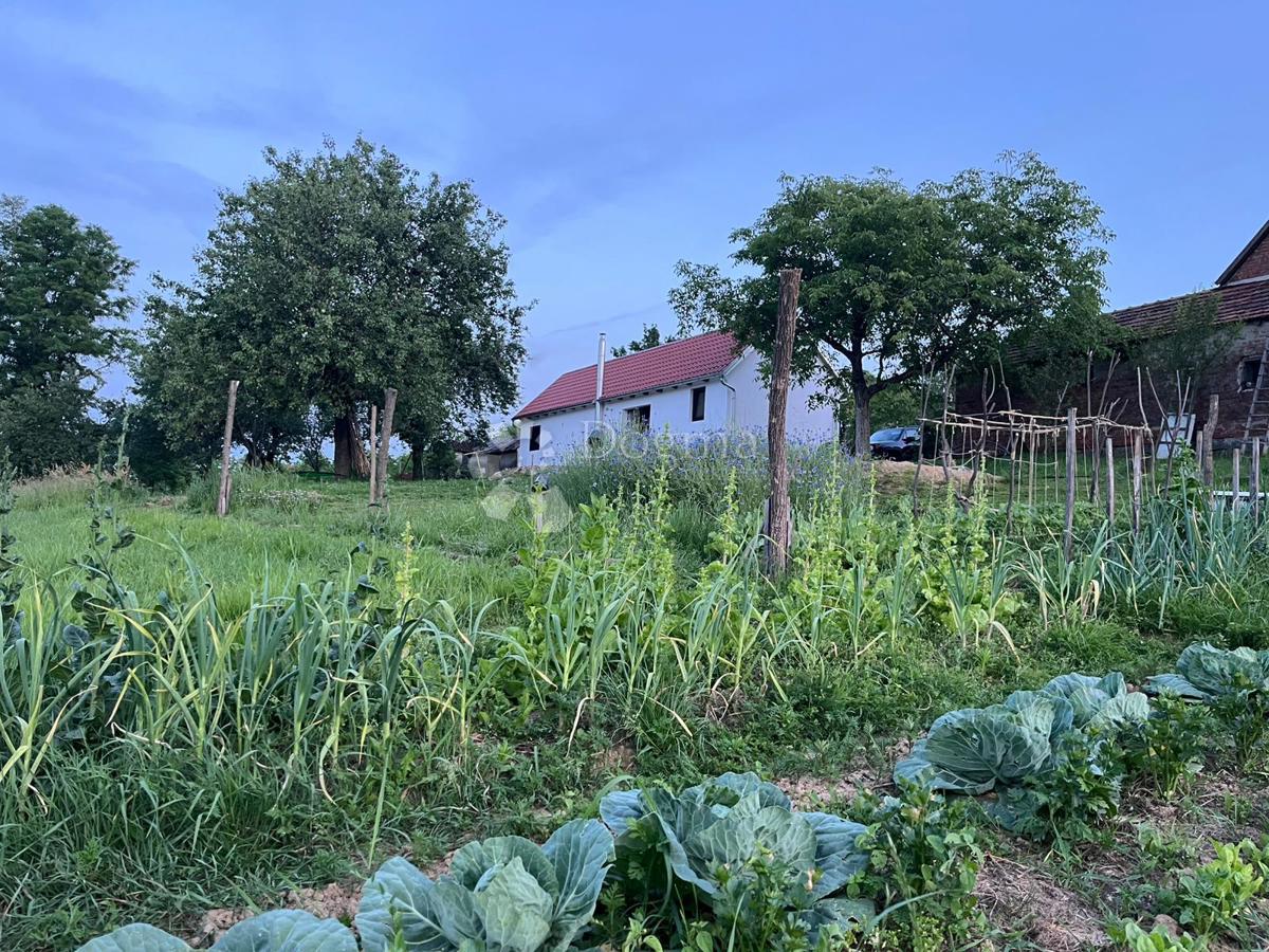 Hiša Londžica, Našice, 208m2