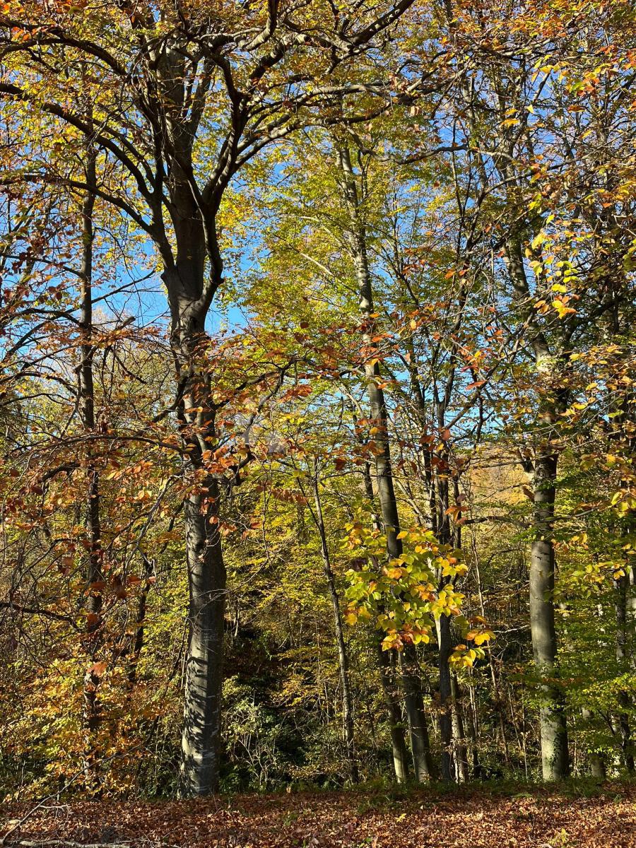Hiša Londžica, Našice, 208m2