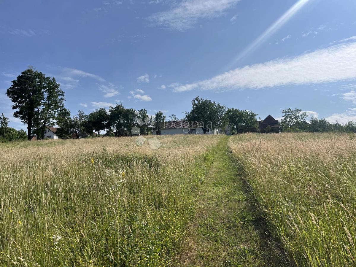 Hiša Londžica, Našice, 208m2