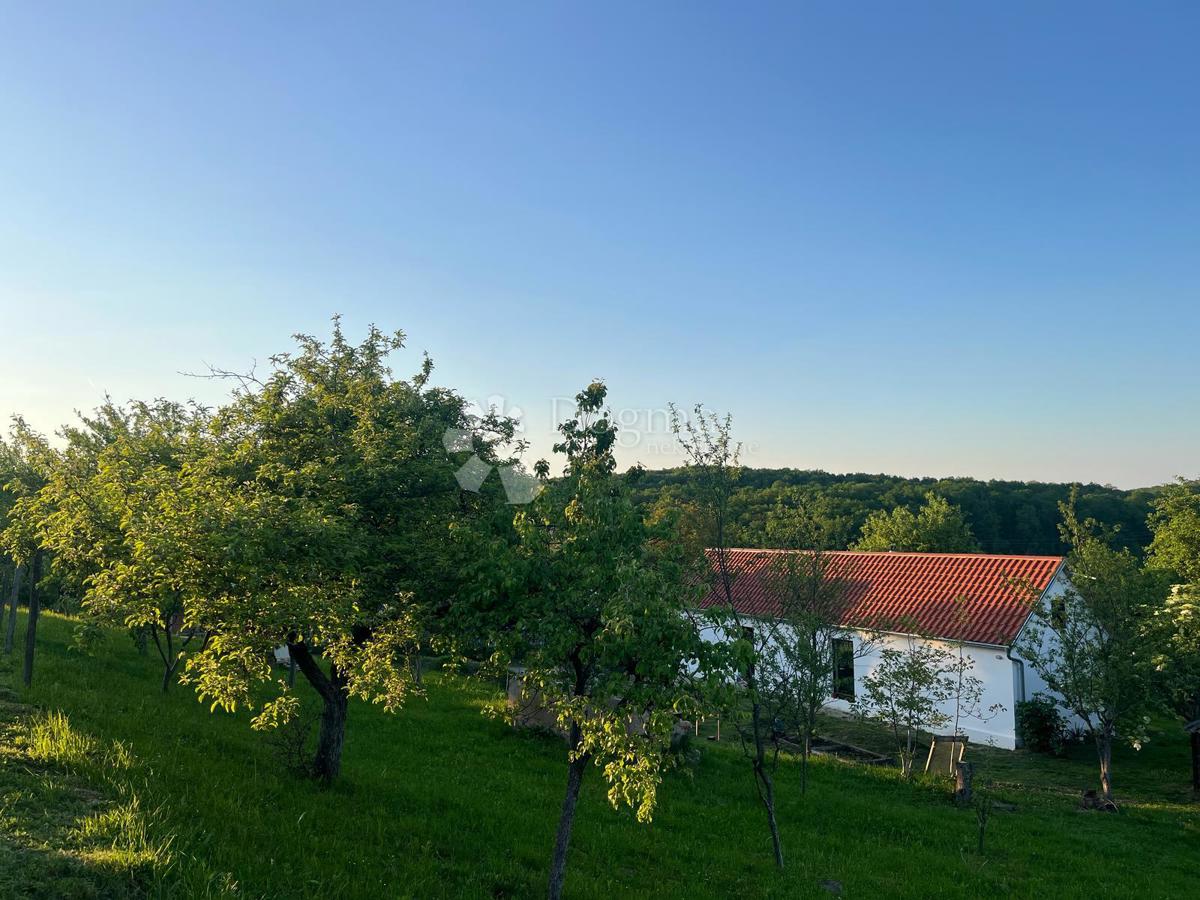 Hiša Londžica, Našice, 208m2