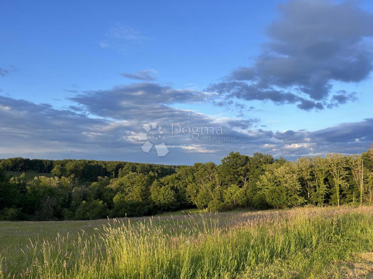 Hiša Londžica, Našice, 208m2